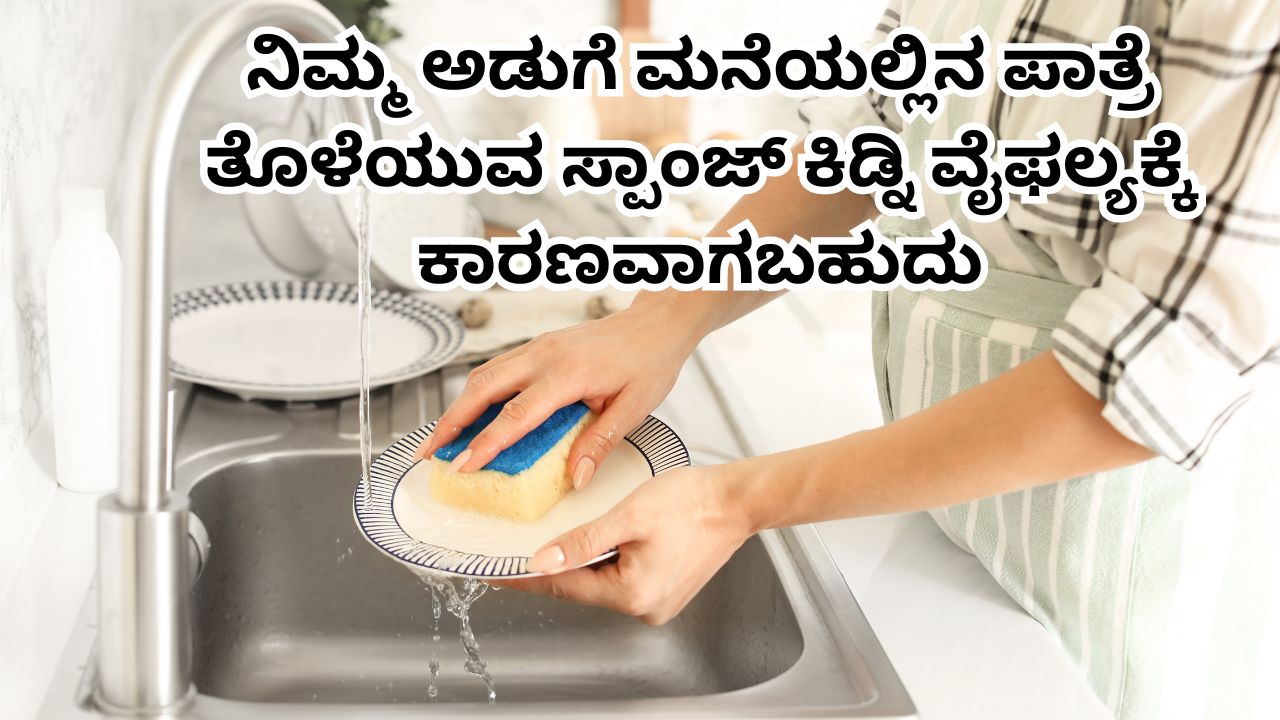 Dishwashing sponge can cause kidney failure? ನಿಮ್ಮ ಅಡುಗೆಮನೆಯಲ್ಲಿನ ಪಾತ್ರೆ ತೊಳೆಯುವ ಸ್ಪಾಂಜ್ ಕಿಡ್ನಿ ವೈಫಲ್ಯಕ್ಕೆ ಕಾರಣವಾಗಬಹುದು ಎಂದರೆ ನಂಬಲು ಸಾಧ್ಯವೇ? ಕಾರಣ ಇಲ್ಲಿದೆ ನೋಡಿ.